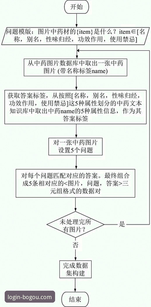 博狗网APP下载官方下载 博狗网官方平台深度解析:从下载到实战的全流程指南